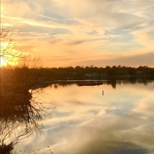 Meet your Posher, Trish